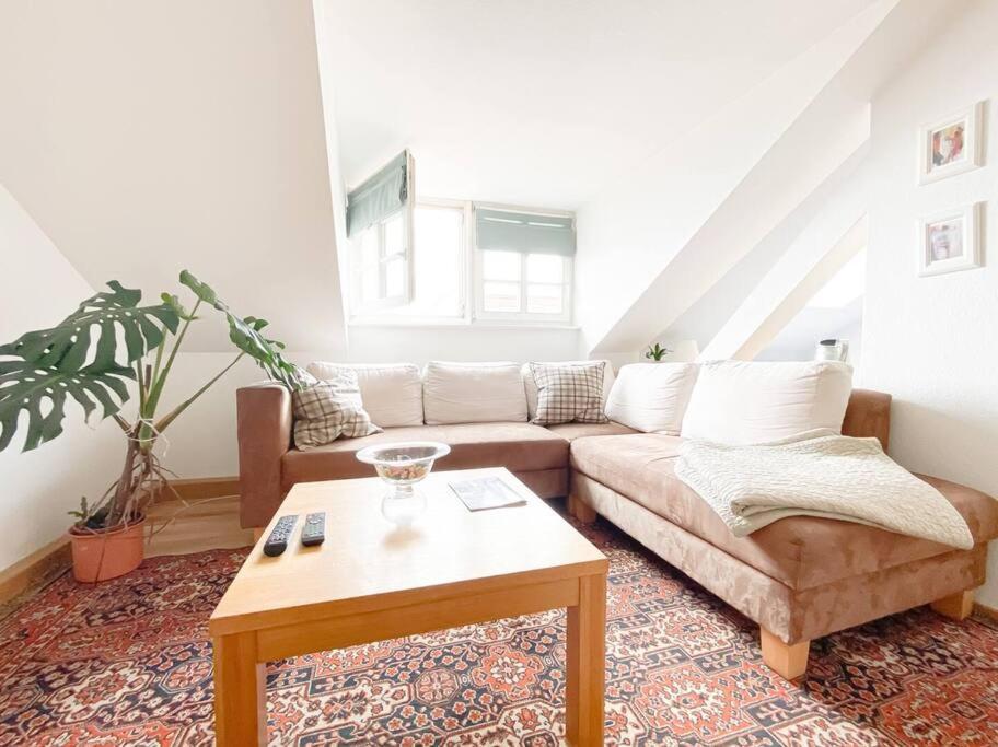 Schoene Ferienwohnung Mit Blick Ueber Stadtwald Leipzig Extérieur photo